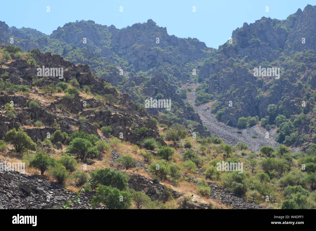 Zarmas Canyon nella provincia Qashqadarya, southeastern Uzbekistan Foto Stock