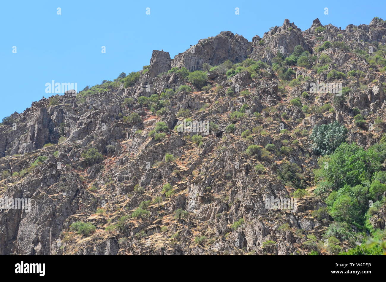 Zarmas Canyon nella provincia Qashqadarya, southeastern Uzbekistan Foto Stock