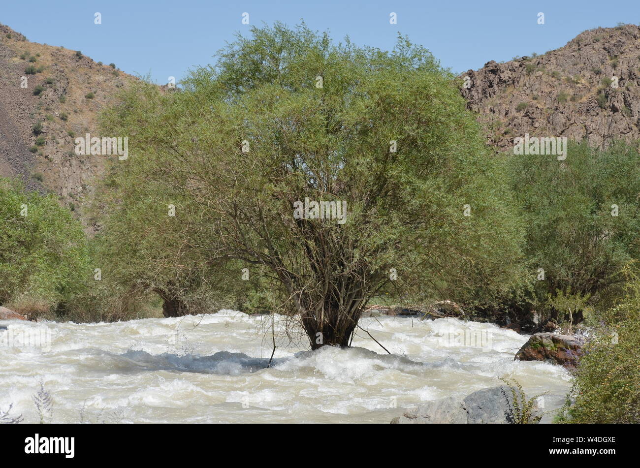 Zarmas Canyon nella provincia Qashqadarya, southeastern Uzbekistan Foto Stock