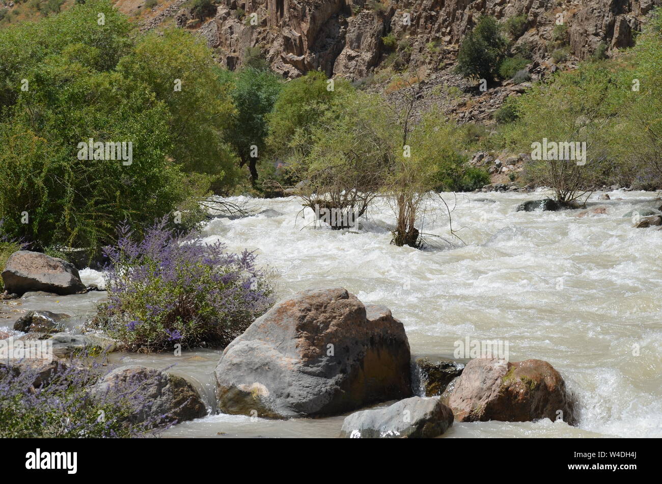 Zarmas Canyon nella provincia Qashqadarya, southeastern Uzbekistan Foto Stock