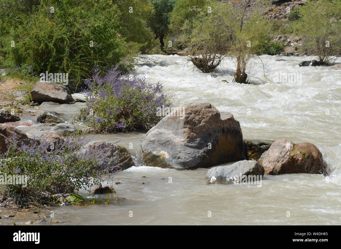 Zarmas Canyon nella provincia Qashqadarya, southeastern Uzbekistan Foto Stock