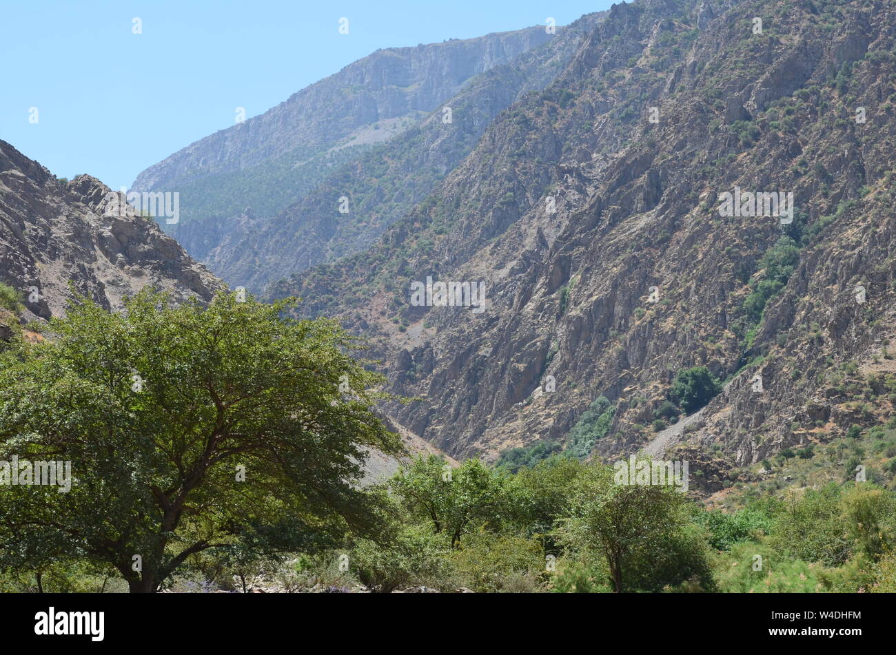 Zarmas Canyon nella provincia Qashqadarya, southeastern Uzbekistan Foto Stock