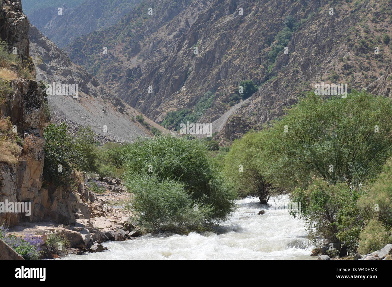 Zarmas Canyon nella provincia Qashqadarya, southeastern Uzbekistan Foto Stock