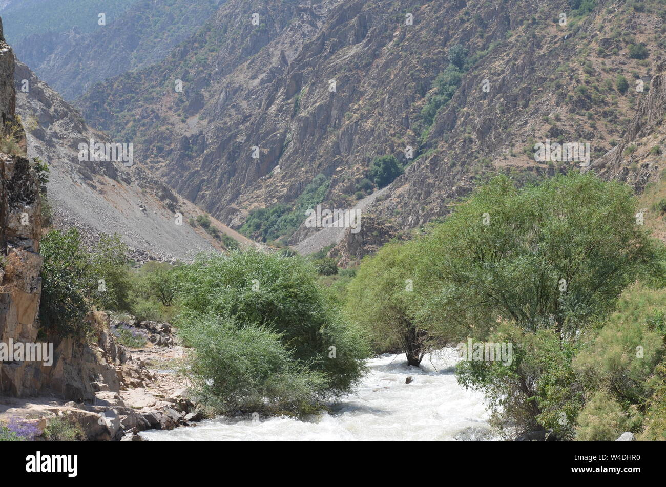 Zarmas Canyon nella provincia Qashqadarya, southeastern Uzbekistan Foto Stock