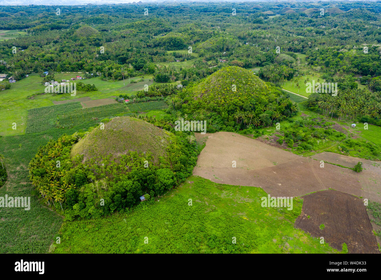 Vista aerea di terreni agricoli rurali e coniche pietre calcaree carsiche in un paesaggio tropicale (Chocolate Hills, Bohol) Foto Stock