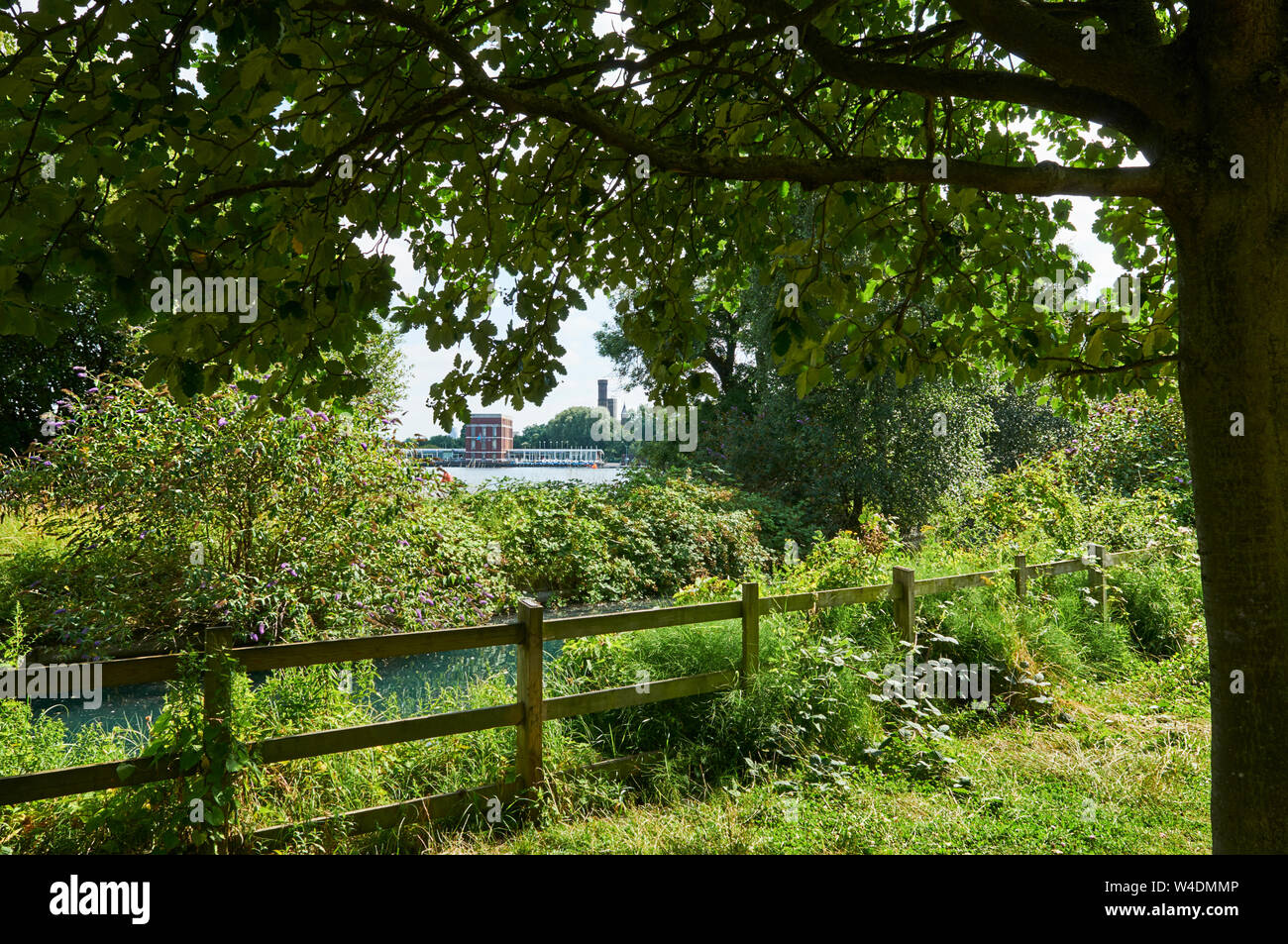 Il nuovo River e serbatoio occidentale vicino a Stoke Newington, North London REGNO UNITO NEL PERIODO ESTIVO Foto Stock