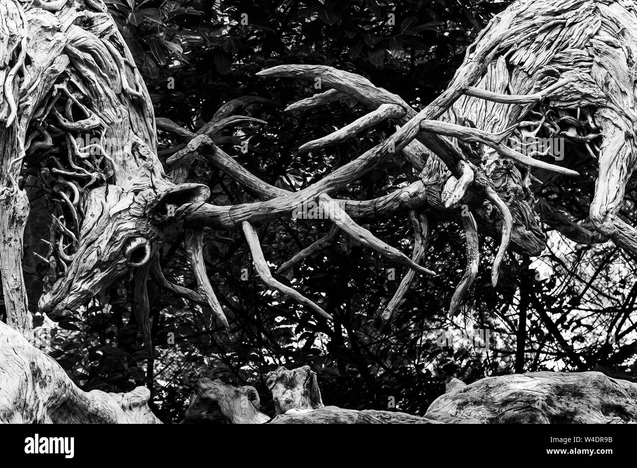Una scultura in legno di una coppia di solchi cervi sul display in un parco scuplure Foto Stock