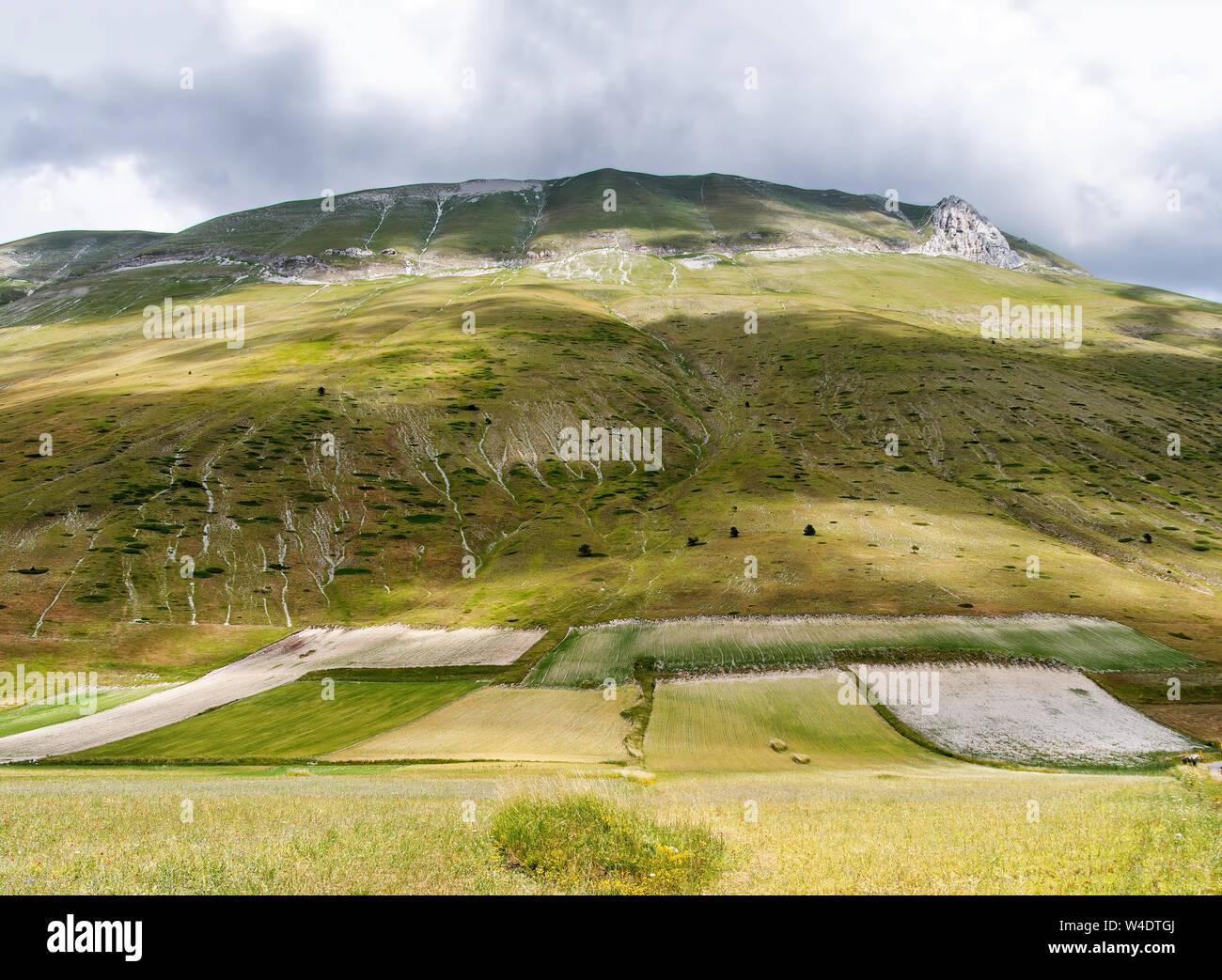 Vista insolita dotate di verde e bianco. Rocky Mountain e i campi nella valle, Castelluccio di Norcia in Umbria, Italia. Destinazione turistica. Foto Stock