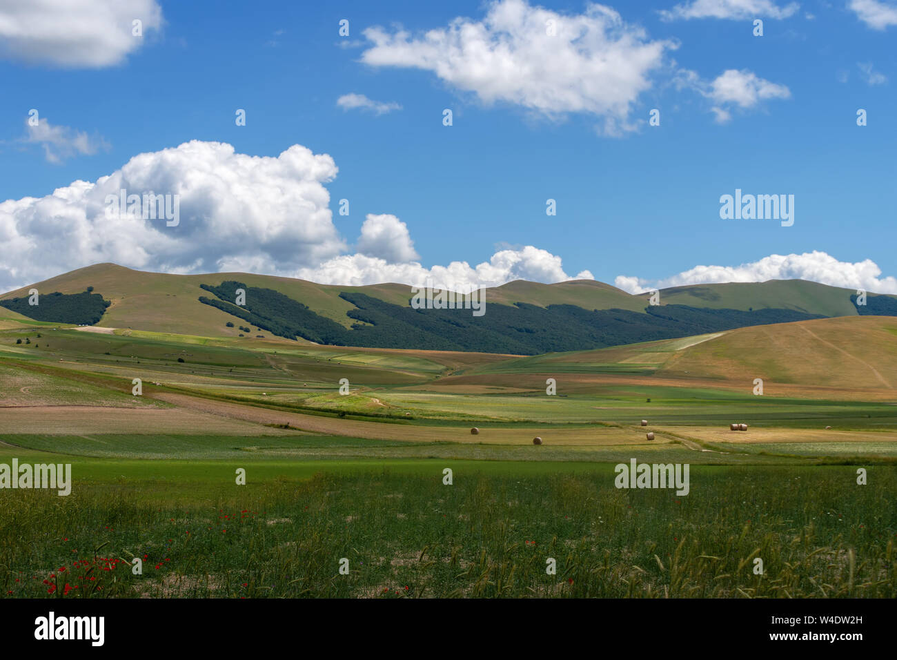 Castelluccio di Norcia in Umbria, Italia. Campi e colline, giornata di sole. Agricola verde paesaggio rurale. Con balle di fieno e poppie in primo piano. Foto Stock