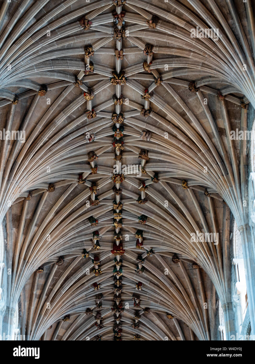 Il lierne soffitto a volte di Norwich Cathedral Foto Stock