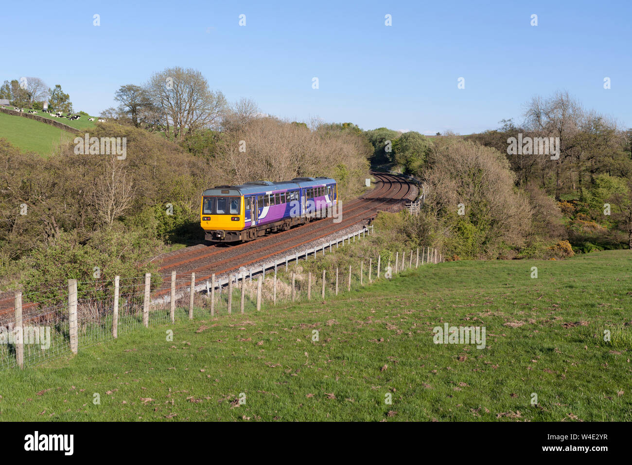 Arriva Nord classe rampa 142 pacer treno passa Kettlesbeck est di Clapham, Yorkshire sul 'little north western' linea Foto Stock