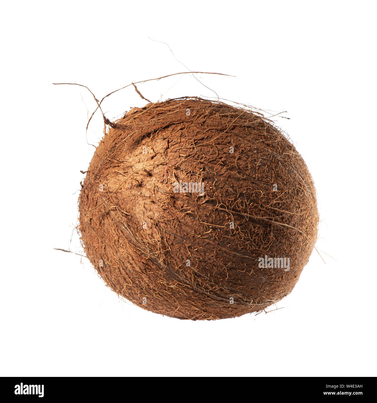 Esotici e noce di cocco pelose isolati su sfondo bianco Foto Stock