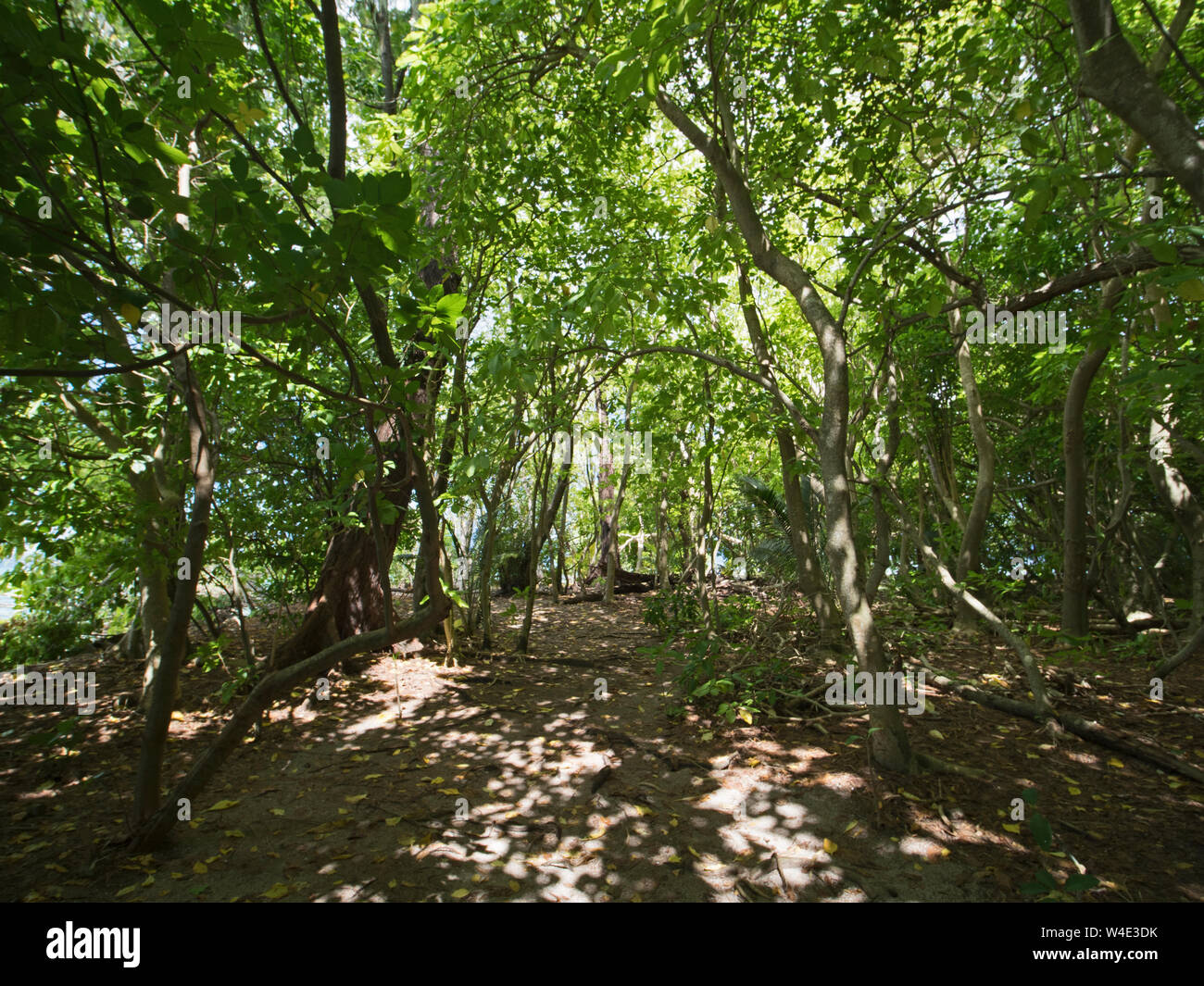 Kennedy isola nel nuovo gruppo di Georgia, provincia occidentale, Solomon Islands South Pacific Foto Stock