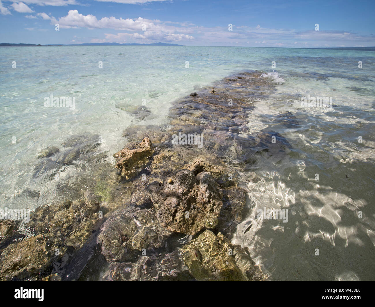 Coral reef sollevato da precedenti attività sismica Kennedy Island, il nuovo gruppo di Georgia, Solomon Islands South Pacific Foto Stock