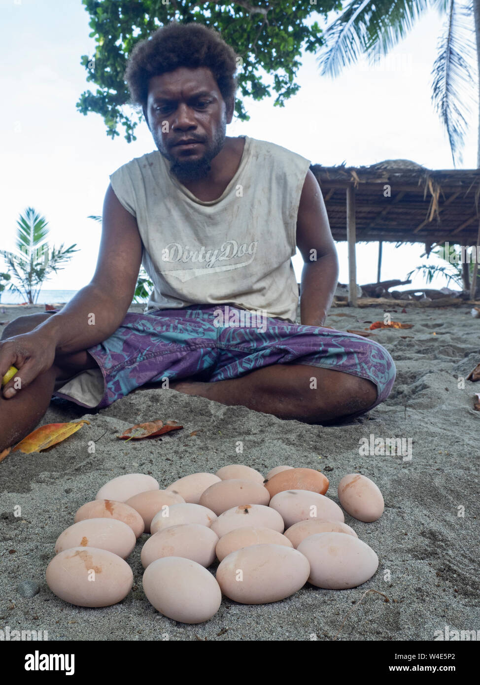 Savo Islander con uova di Megapode melanesiano Megapodius eremita raccolte a terra di nidificazione, Isola di Savo, Isole Salomone, Sud Pacifico Foto Stock