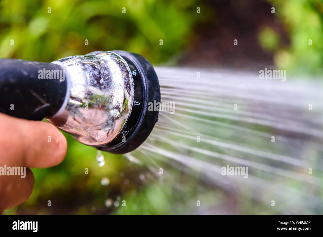 Un uomo irriga il suo giardino con un tubo flessibile di pressione di spruzzatura di acqua sulle piante. Foto Stock