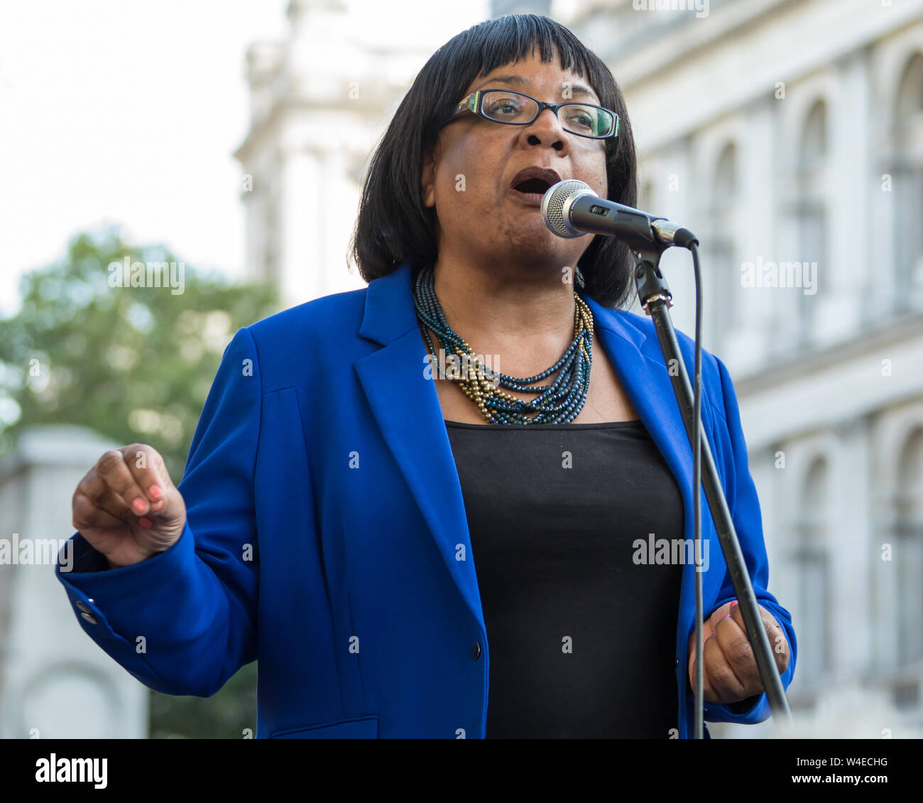 Londra, UK, 22 luglio, 2019. Diane Abbott, manodopera MP per Hackney Nord e Stoke Newington e Shadow Home Secretary risolve centinaia di manifestanti radunati fuori di Downing Street per la domanda di una elezione generale ora! In un rally organizzato dall'Assemblea popolare contro austerità. Credito: David Rowe/Alamy Live News Foto Stock