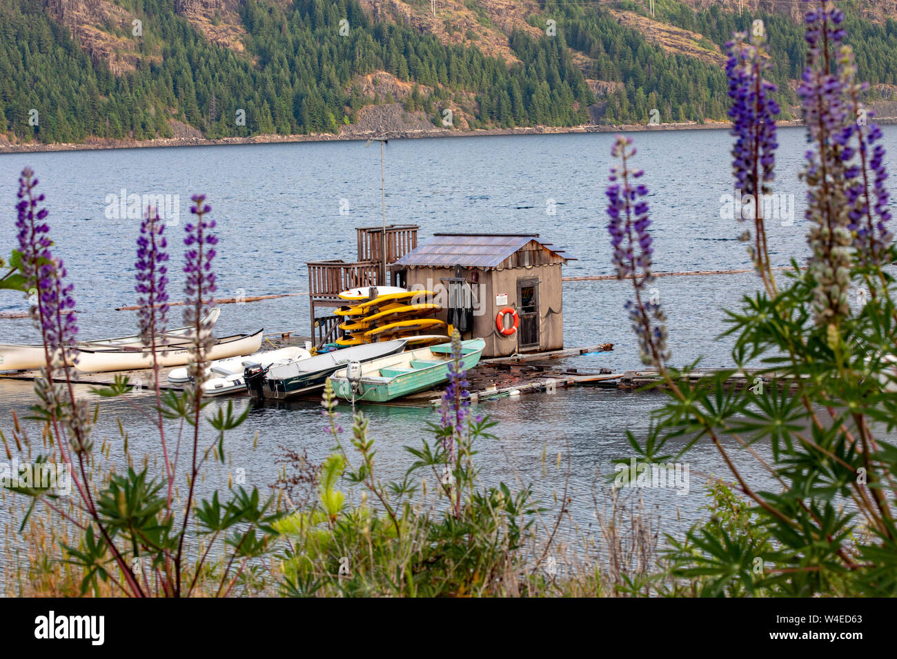 Boat House su superiore Campbell lago a Strathcona Park Lodge in Strathcona Provincial Park, vicino a Campbell River, Isola di Vancouver, British Columbia, CA Foto Stock