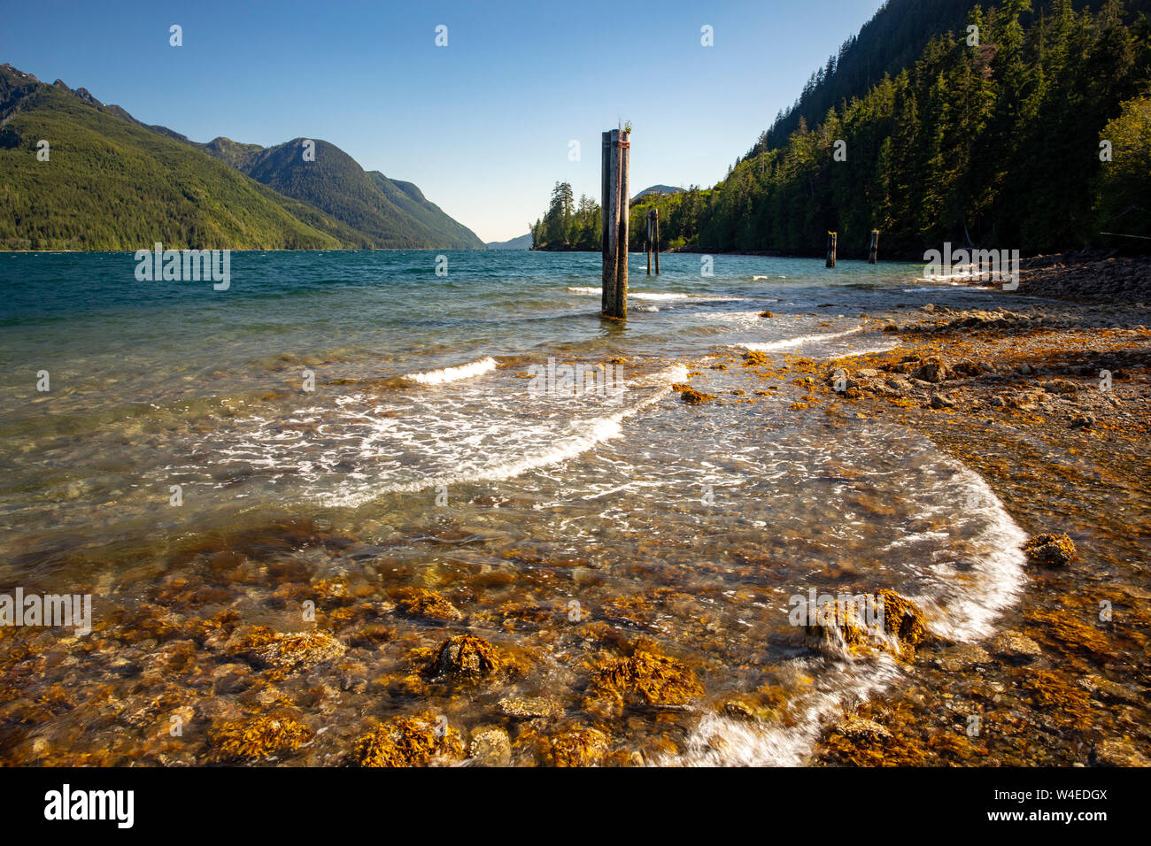 Spiaggia rocciosa e paesaggio di West Bay Park - Tahsis, vicino Gold River, Isola di Vancouver, British Columbia, Canada Foto Stock