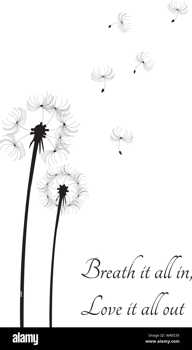 Illustrazione vettoriale di una silhouette di tarassaco. respiro tutto, amore tutto fuori. Illustrazione Vettoriale