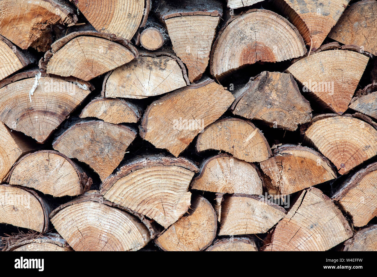 Close-up di una catasta di legna da ardere - Strathcona Park Lodge in Strathcona Provincial Park, vicino a Campbell River, Isola di Vancouver, British Columbia, Canada Foto Stock