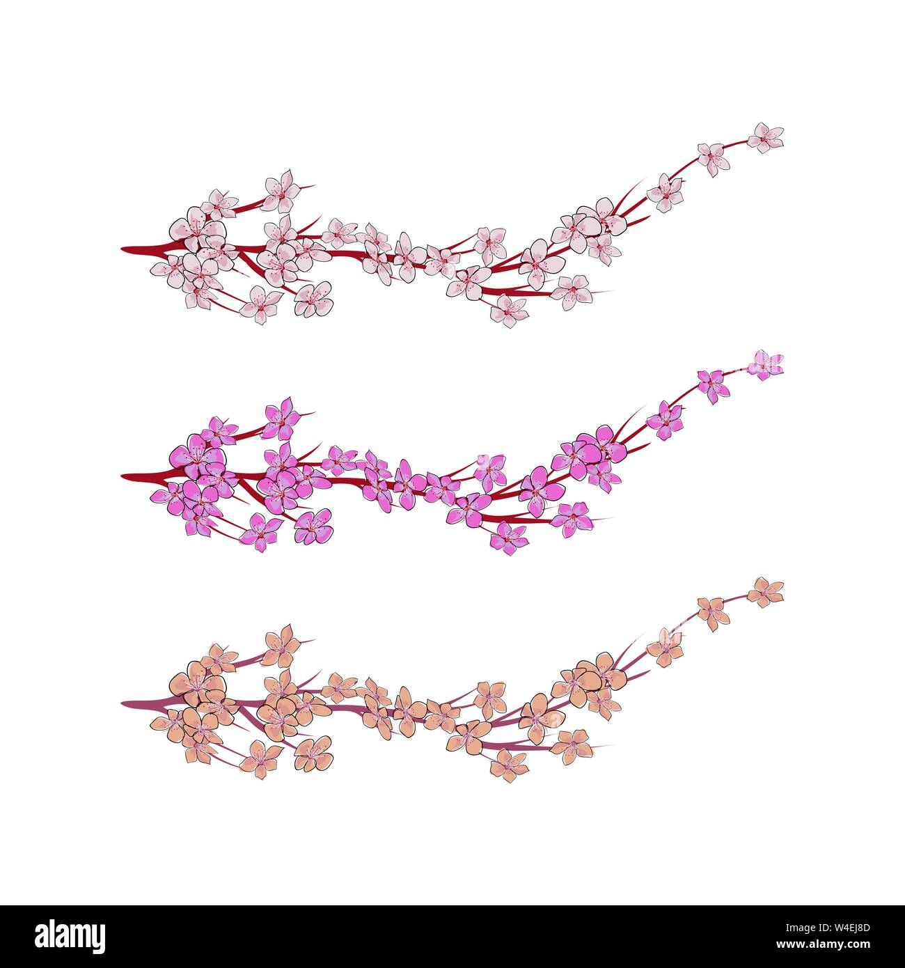 Set di Sakura rami con fiori, fiori di ciliegio, illustrazione vettoriale. Illustrazione Vettoriale
