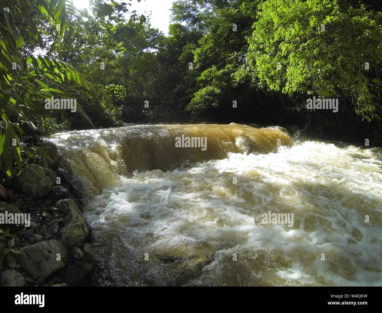 Fiume nella giungla o un flusso di acqua di inondazione nel parco nazionale in Honduras vicino al lago Yojoa, white water rapids Foto Stock