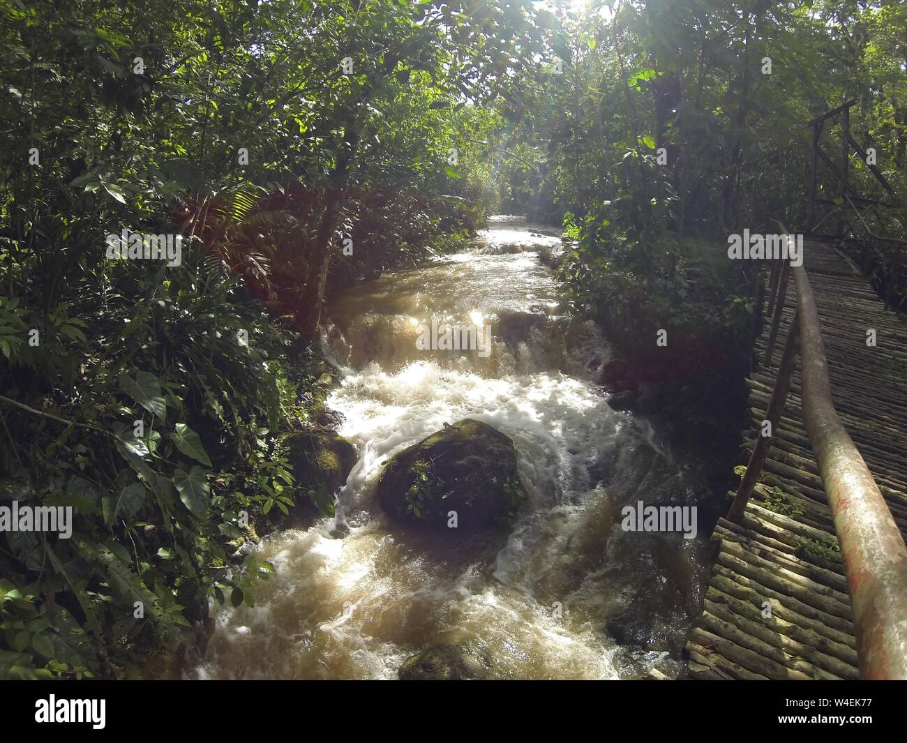 Fiume nella giungla o un flusso di acqua di inondazione nel parco nazionale in Honduras vicino al lago Yojoa, white water rapids Foto Stock