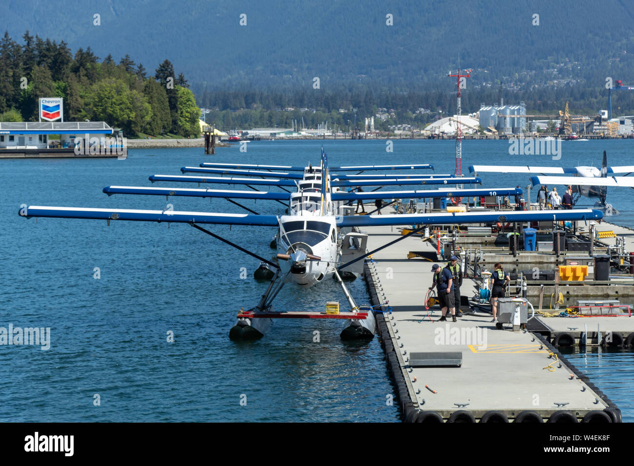 Fila di idrovolanti attraccati all'Aeroporto del Porto di Vancouver durante una giornata di sole primaverili nel centro di Vancouver, BC. Foto Stock