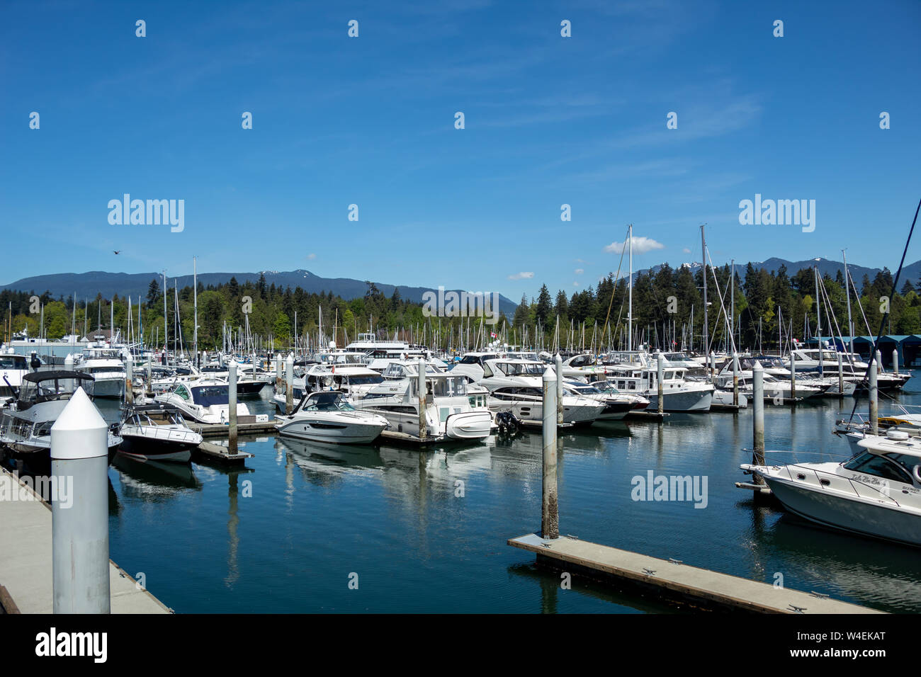 Il Bayshore West Marina ha visto pieno di barche e yacht nel centro di Vancouver, BC vicino a Stanley Park in una splendida giornata primaverile. Foto Stock
