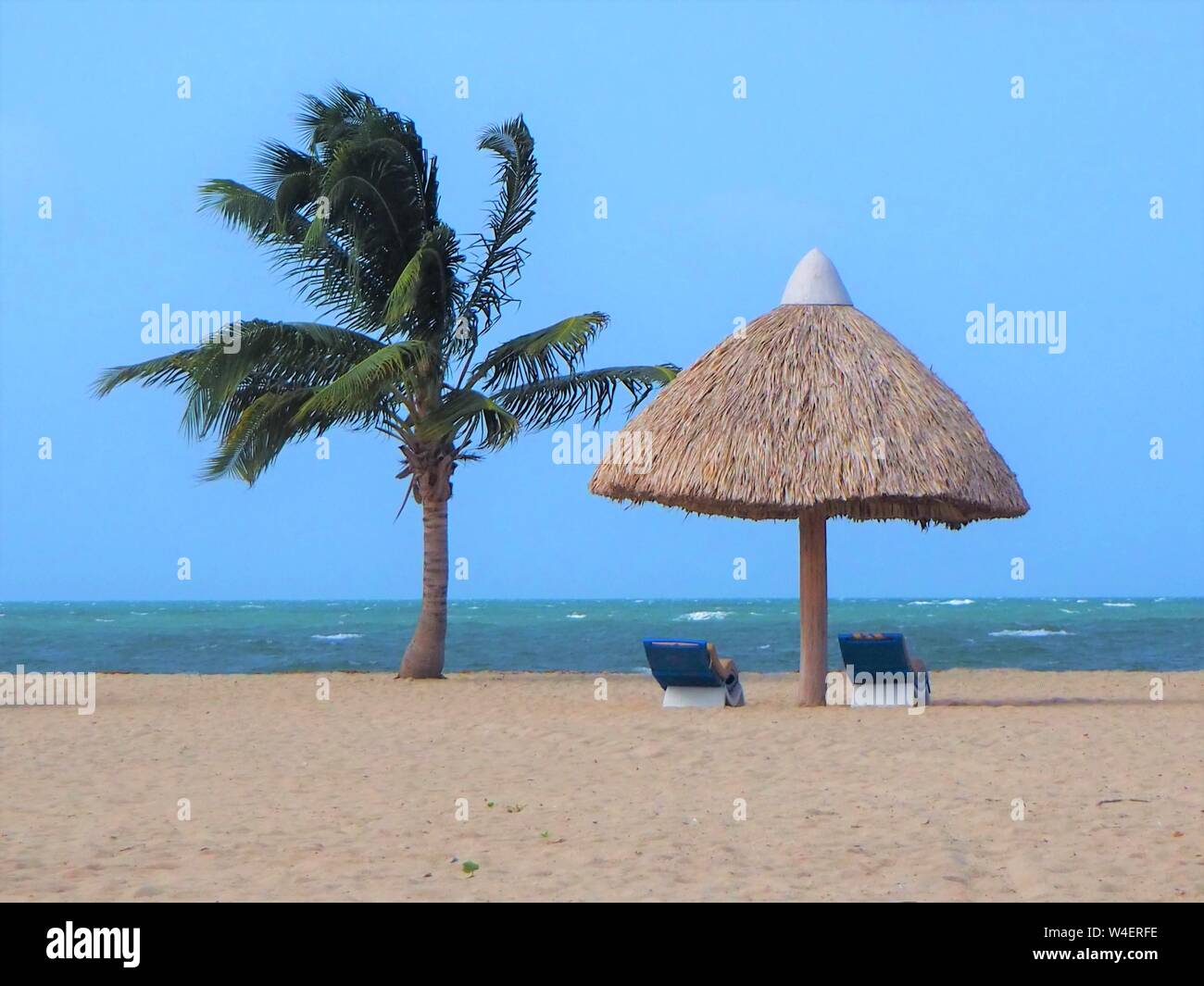 Spiaggia di Placencia, Belize, palme tropicali e il mare e la sabbia sulla spiaggia del Mar dei Caraibi. Foto Stock