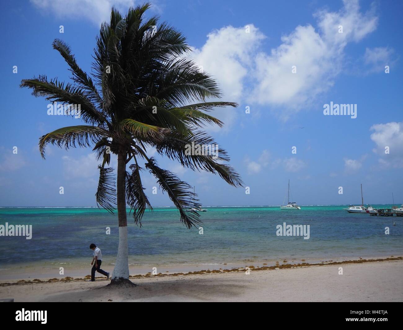 La spiaggia su Ambergris Caye, Beliaze, paradiso tropicale isola dei Caraibi. Foto Stock