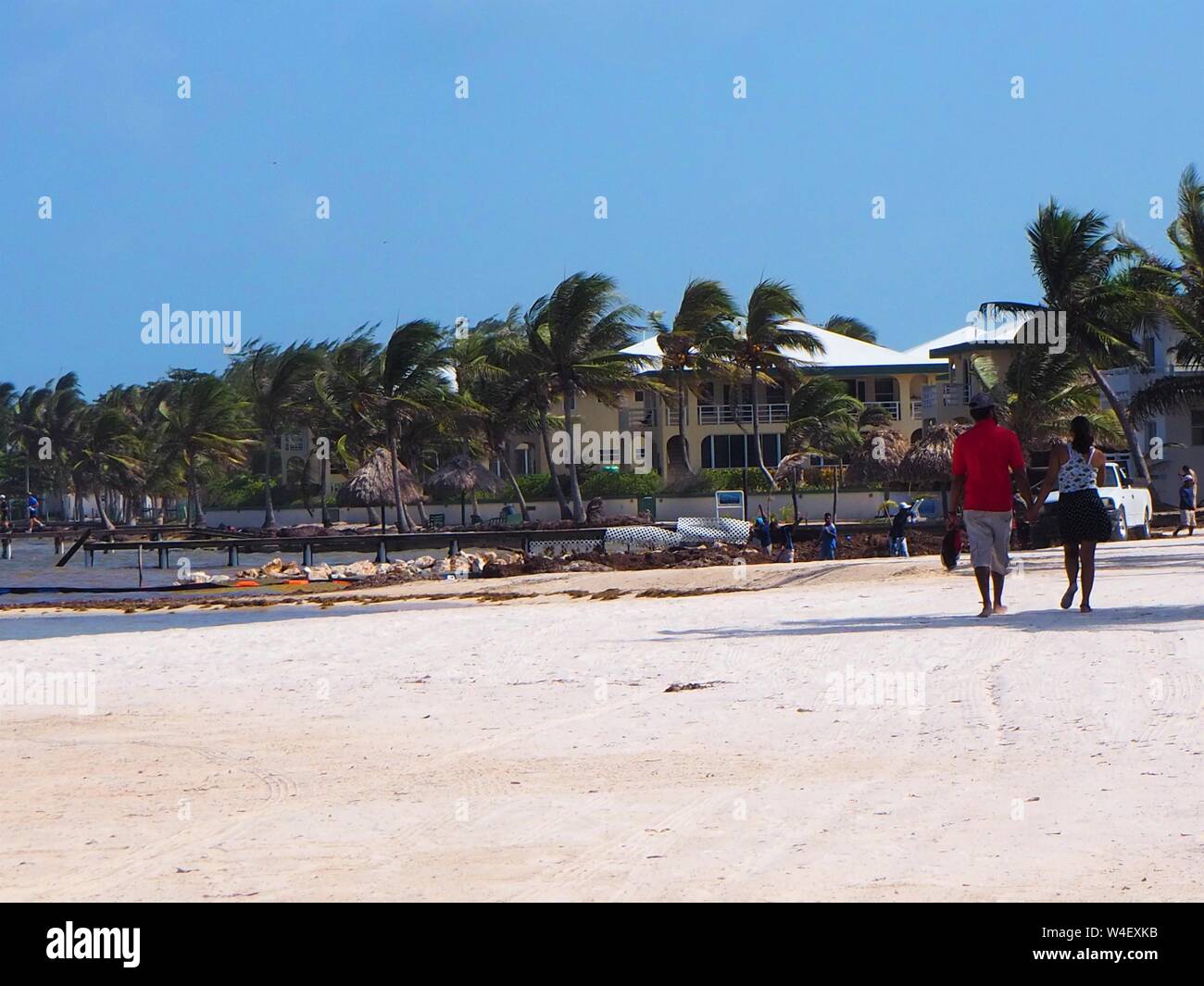 Spiaggia tropicale con palme e mare e cielo blu e gialla e bianca sabbia. Belize isola deserta Amburgris Caye. Foto Stock