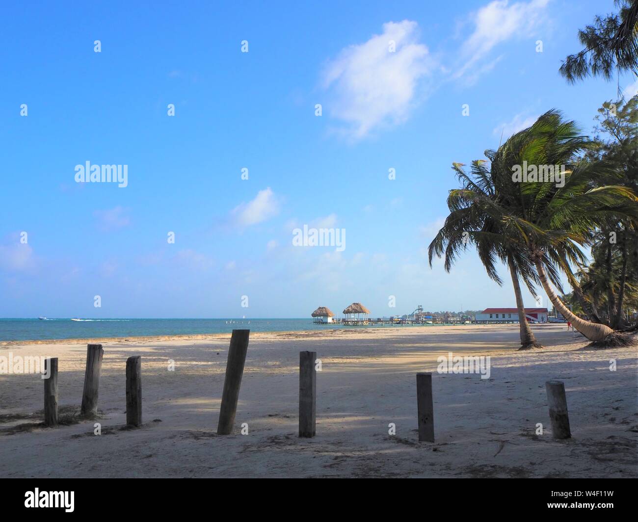 Spiaggia tropicale con palme e mare e cielo blu e gialla e bianca sabbia. Belize isola deserta Amburgris Caye. Foto Stock