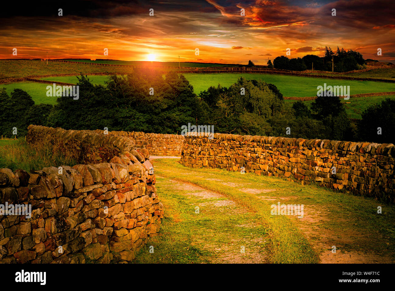 Nidderdale, North Yorkshire, Regno Unito Foto Stock