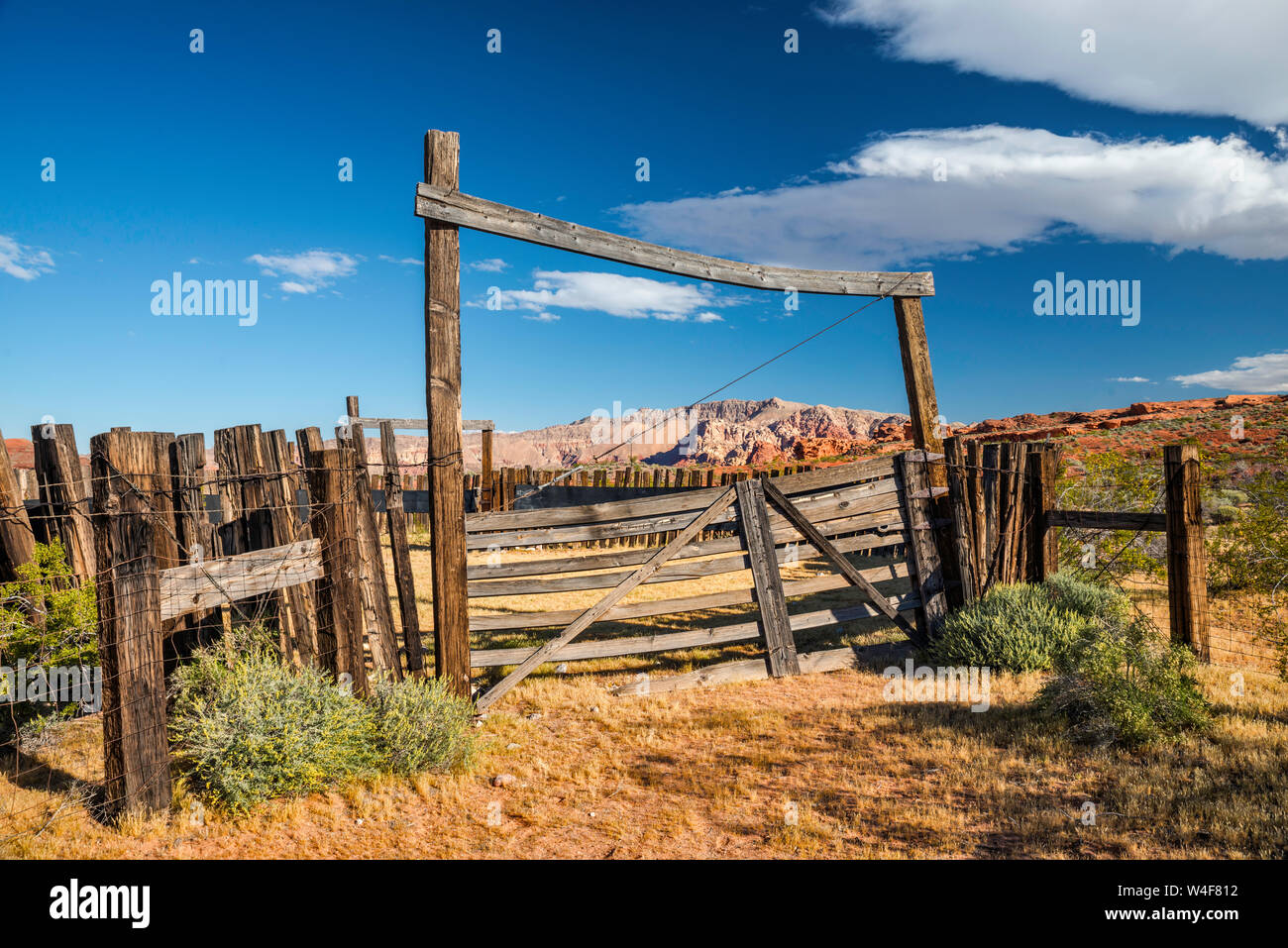 Cancello al vecchio recinto nella piccola area di Finlandia, Gold Butte National Monument, Deserto Mojave, Nevada, STATI UNITI D'AMERICA Foto Stock