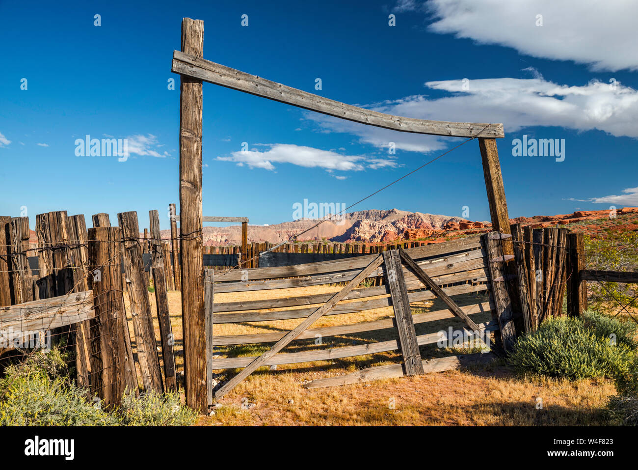 Cancello al vecchio recinto nella piccola area di Finlandia, Gold Butte National Monument, Deserto Mojave, Nevada, STATI UNITI D'AMERICA Foto Stock