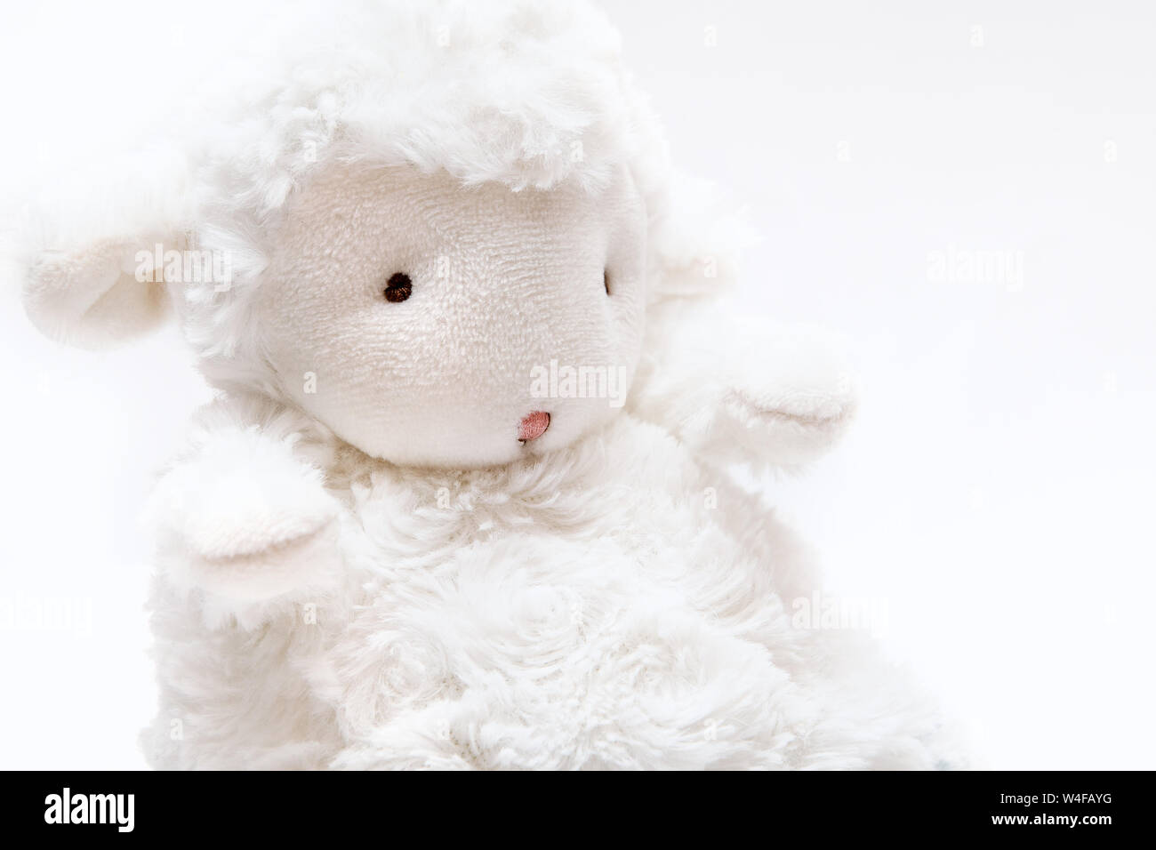 Carino pecore giocattolo morbido su uno sfondo bianco. Foto Stock