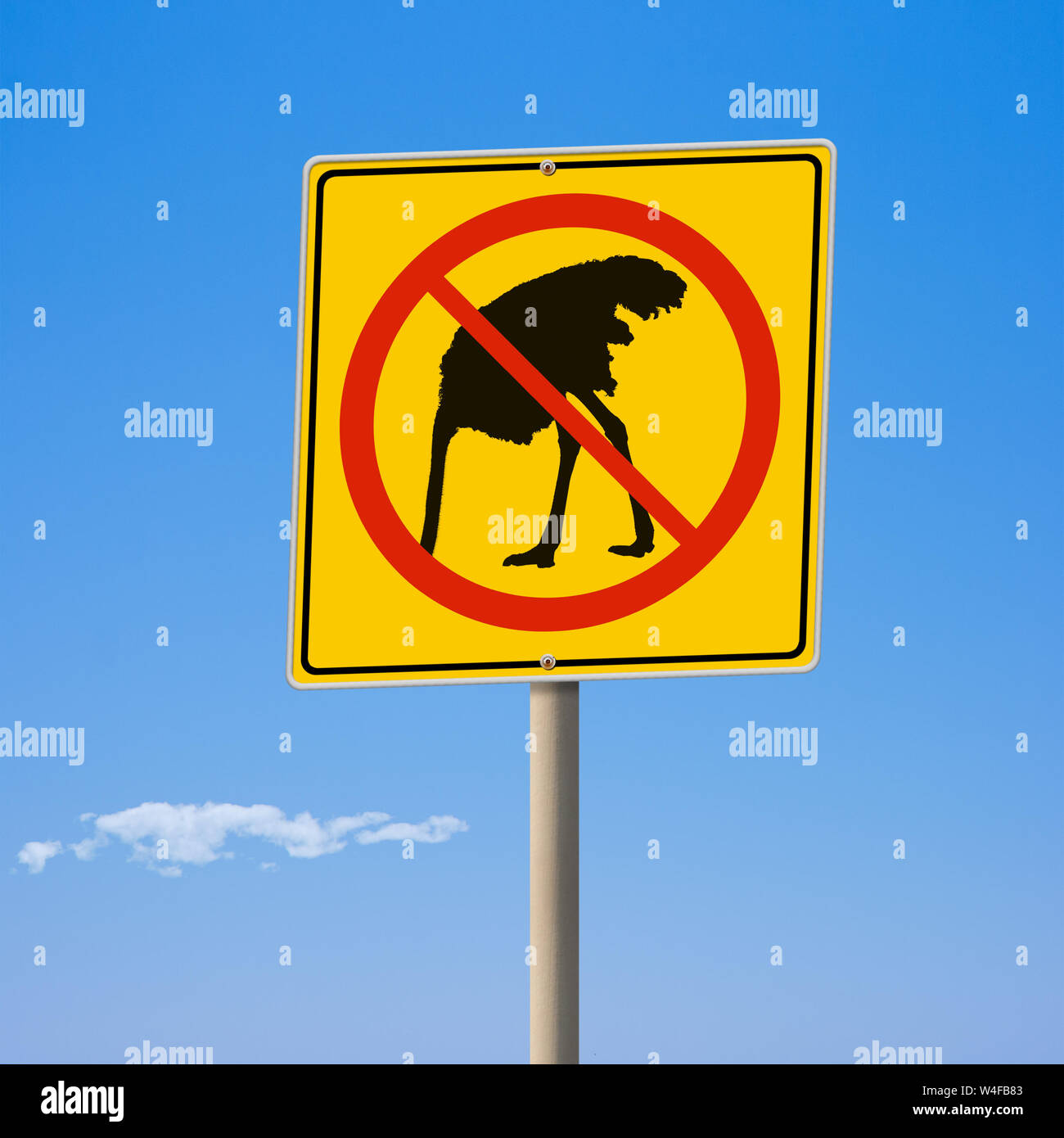Ostrich cartello stradale problema ignorando concetto 3d illustrazione Foto Stock