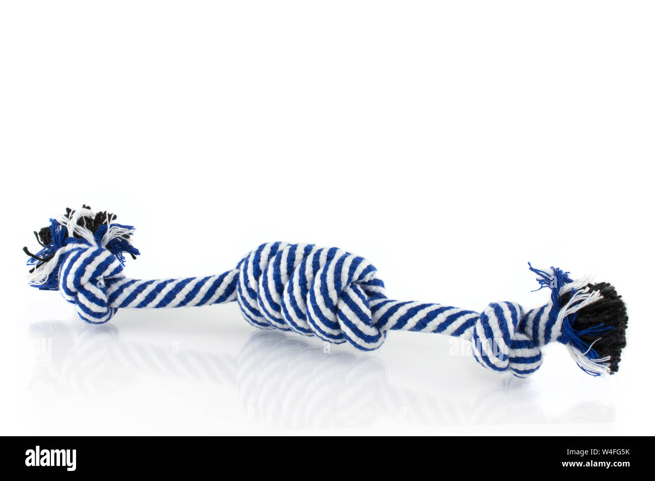 Blu masticabili cane giocattolo in corda con nodi isolati su sfondo bianco. Foto Stock