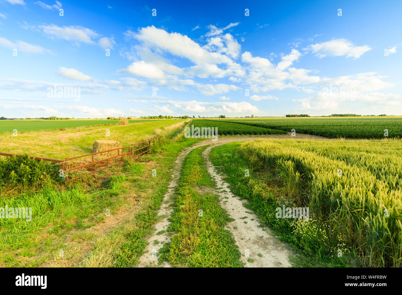 Un paesaggio rurale in estate con un cielo blu e nuvole e una strada di campagna attraverso i campi in estate - Groningen, Paesi Bassi Foto Stock