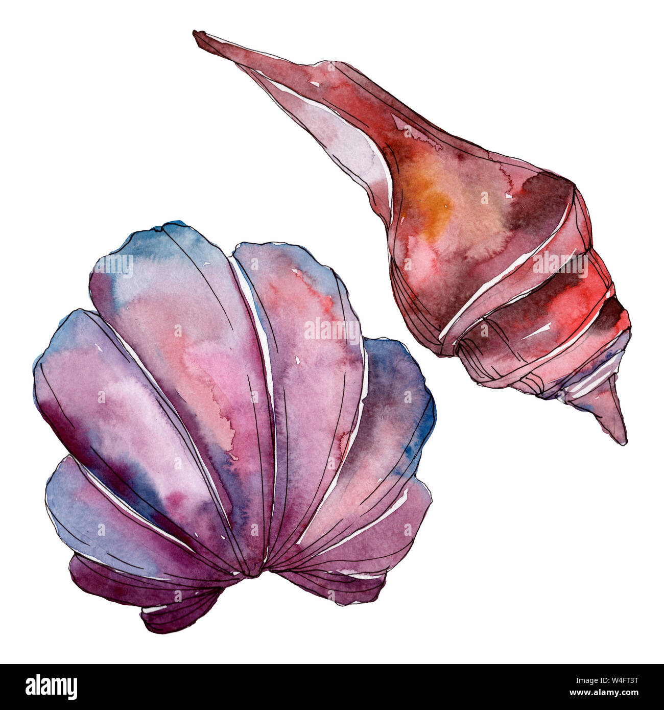 Estate spiaggia seashell elementi tropicali. Acquerello illustrazione dello sfondo impostato. Disegno ad acquerello fashion aquarelle isolato. Shell isolata illust Foto Stock