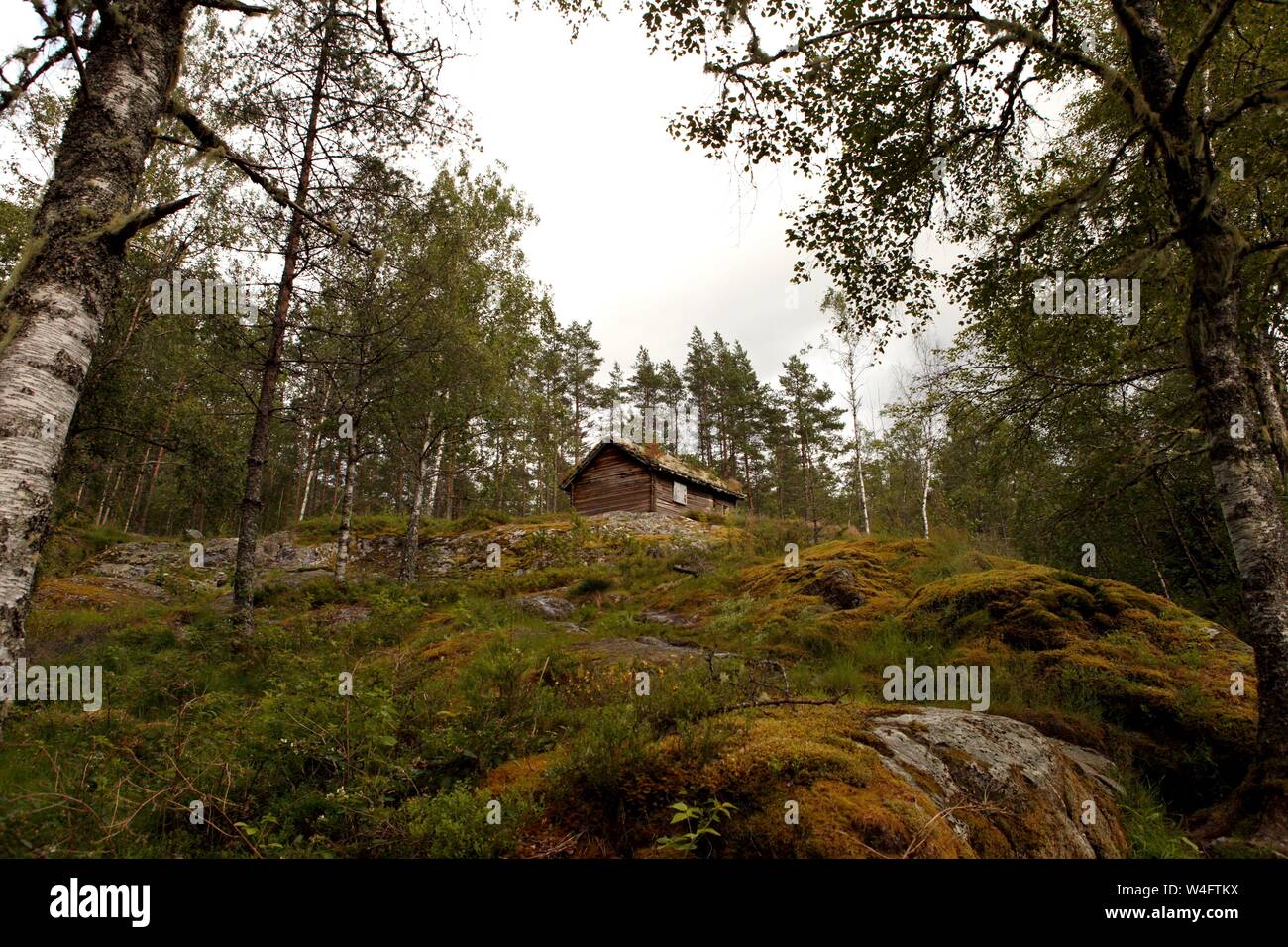 Molto vecchi mulini con tetti erbosi in Norvegia Foto Stock