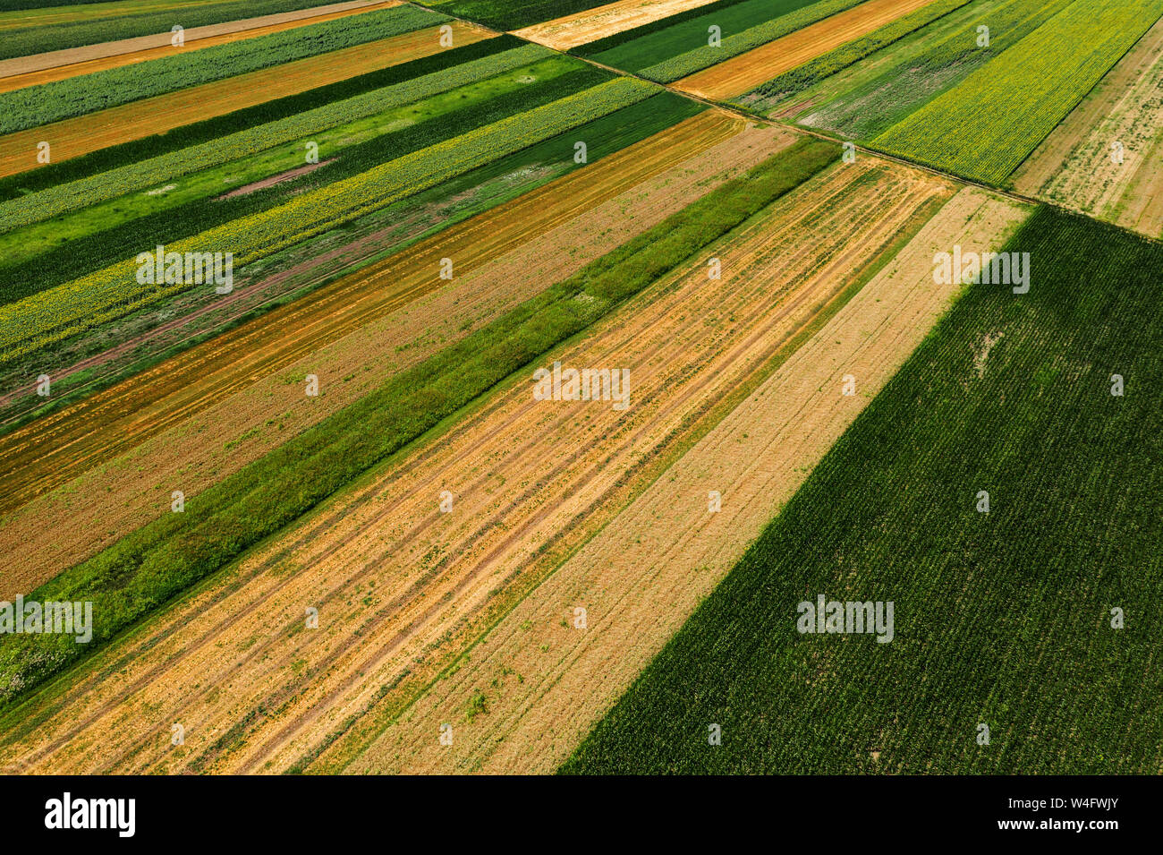 Vista aerea di coltivare i campi agricoli in estate, la bellissima campagna patchwork paesaggio da fuco pov Foto Stock