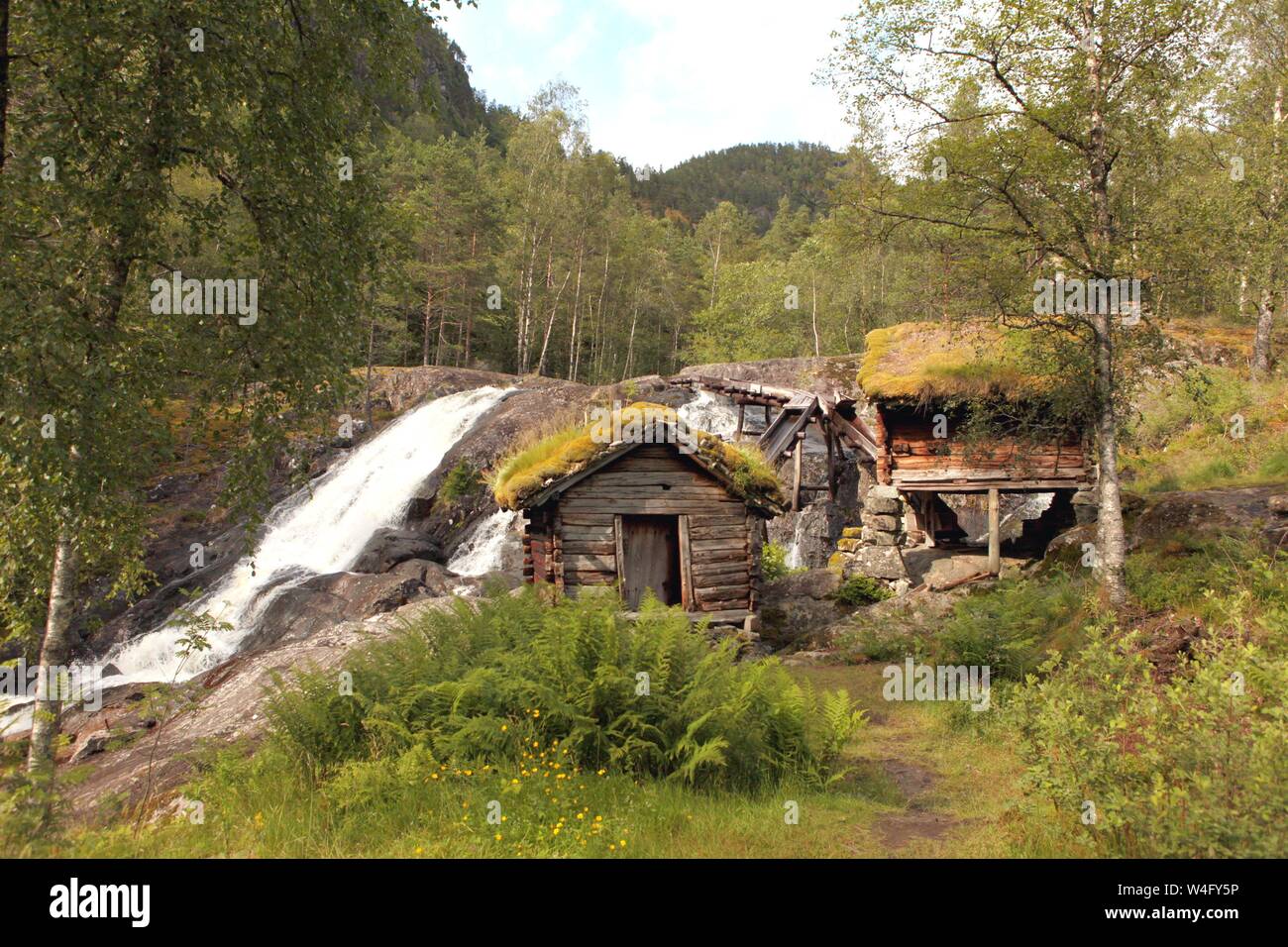 Molto vecchi mulini con tetti erbosi in Norvegia Foto Stock