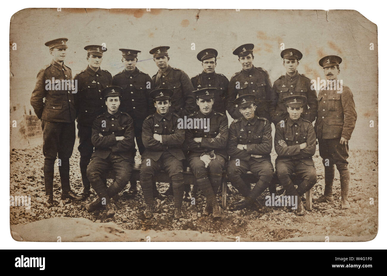 Giovani soldati della prima guerra mondiale che si esibiscono per una foto di gruppo con un piccolo gattino. La fila posteriore che si trova sulla sinistra è Richard Henry Cooper, 17 anni. Foto Stock
