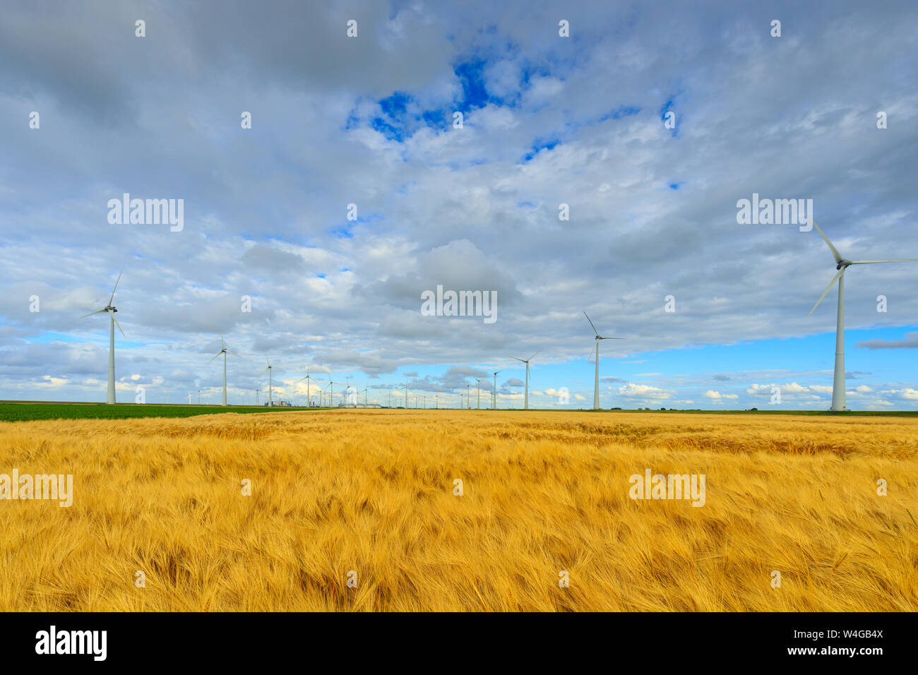 Mulini a vento in un paesaggio agricolo la produzione di verde e energia pulita per un mondo sostenibile con il grano nei campi in estate Foto Stock
