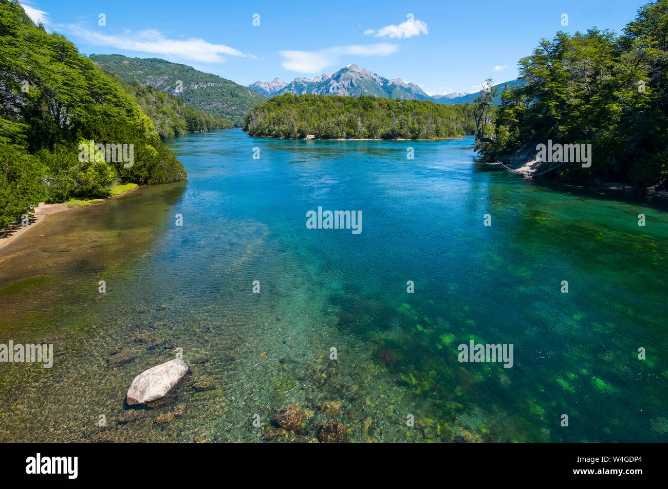 Acqua cristallina a Los Alerces National Park, Chubut, Argentina, Sud America Foto Stock