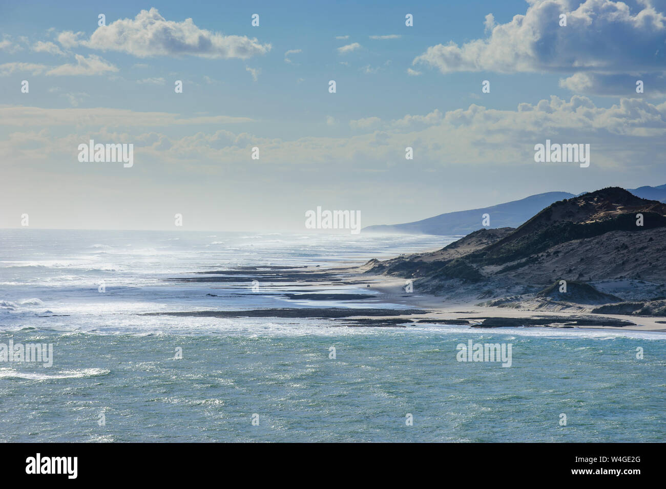 Arai-Te-Uru Riserva di ricreazione, Hokianga Harbour, la Westcoast Northland e North Island, Nuova Zelanda Foto Stock