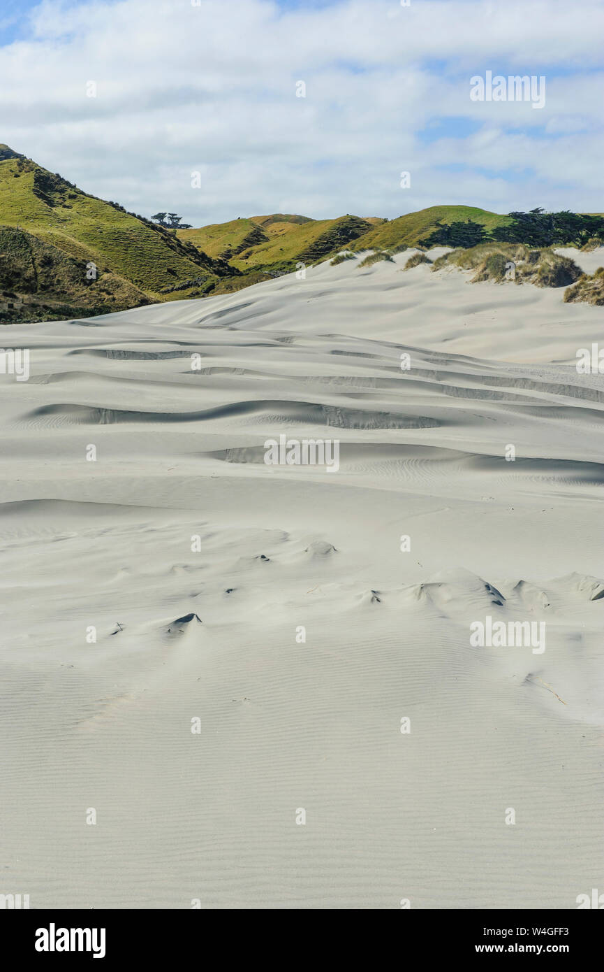 Le dune di sabbia bianca su Wharariki Beach, Isola del Sud, Nuova Zelanda Foto Stock